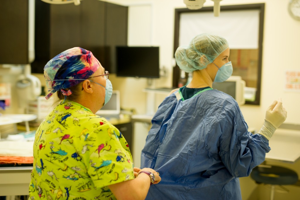 Surgical Services Fremont Veterinary Clinic