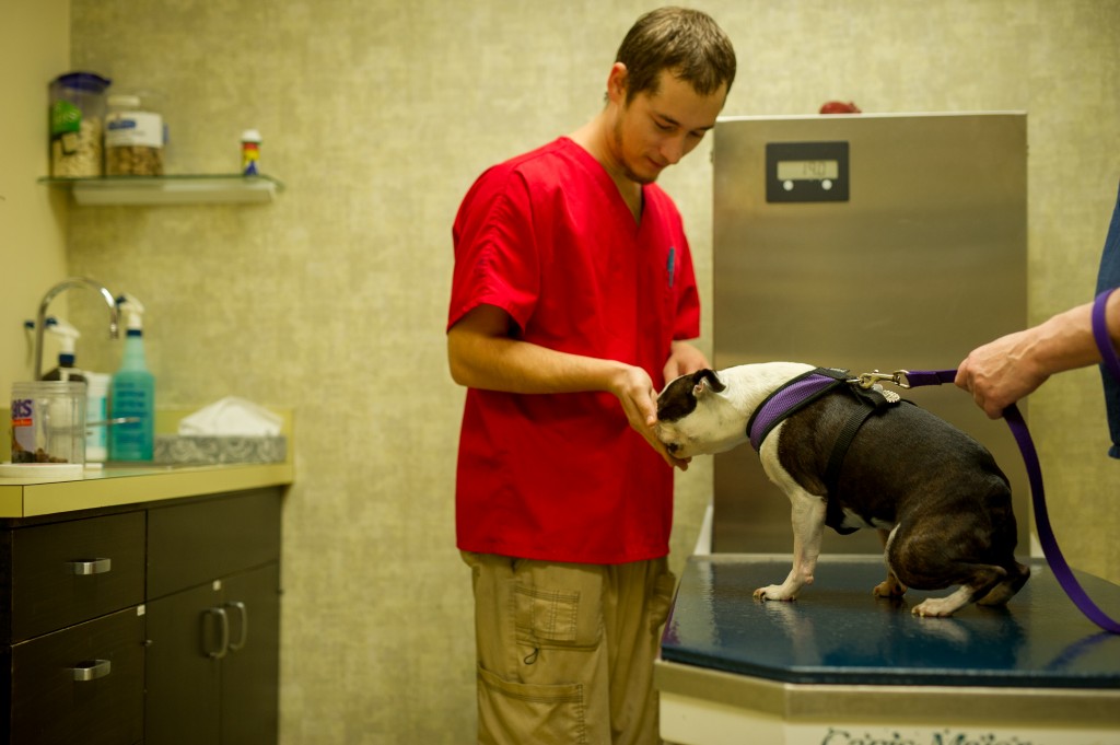 Fremont_Vet_Onsite0057 Fremont Veterinary Clinic