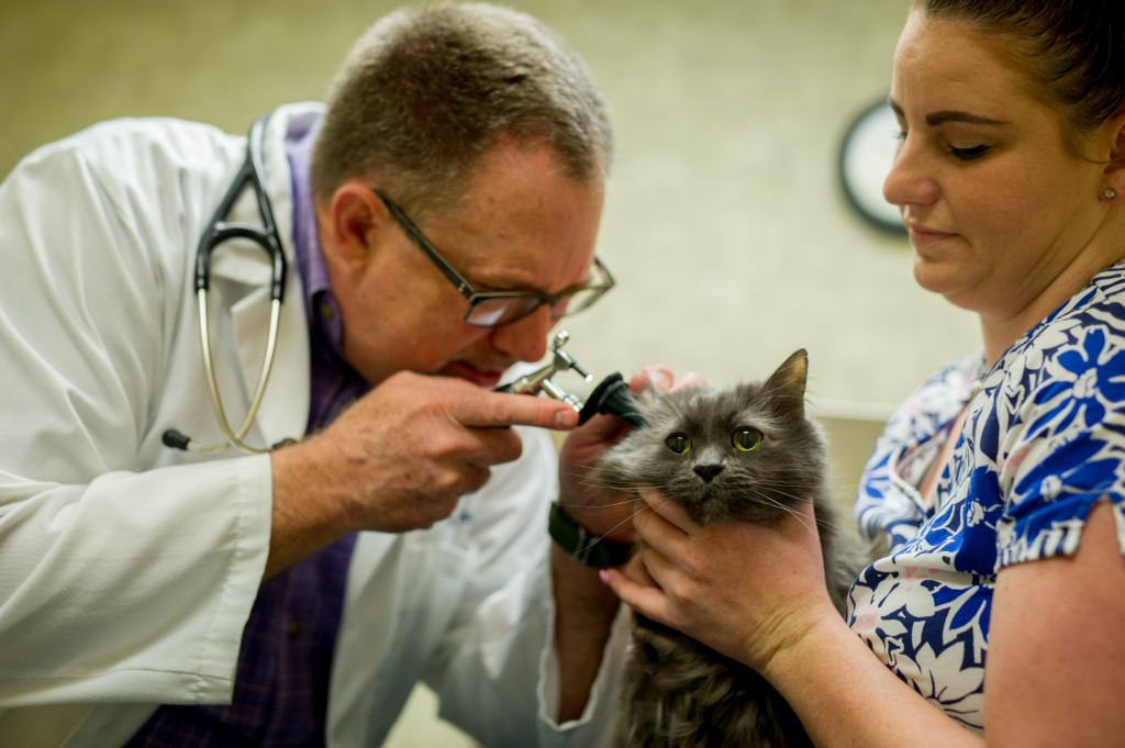 Treating Sick & Injured Pets Fremont Veterinary Clinic