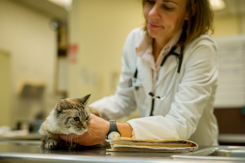 Treating Sick & Injured Pets Fremont Veterinary Clinic